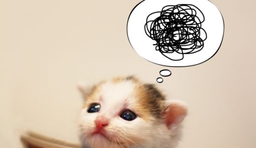 【感じてもいいよね、そこから次へと踏み出せる】