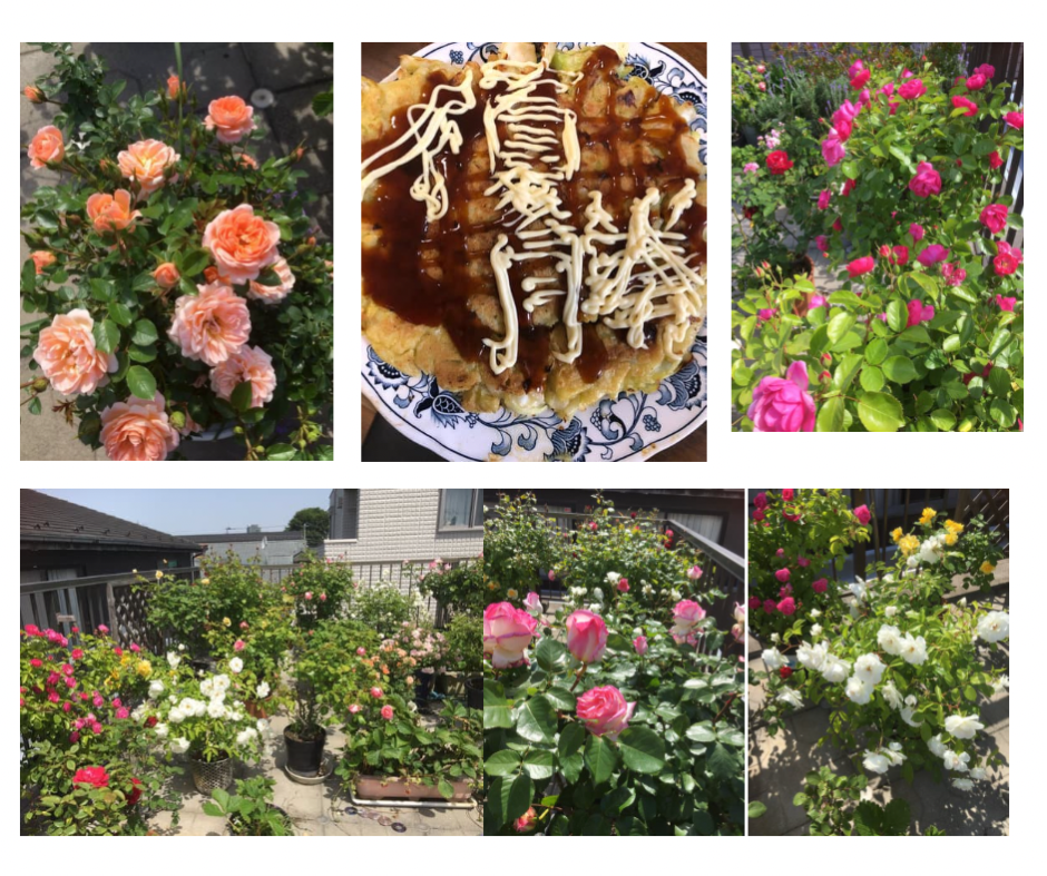 薔薇 ローズガーデン お好み焼き 母の日 大相撲 力士 優勝 運動会